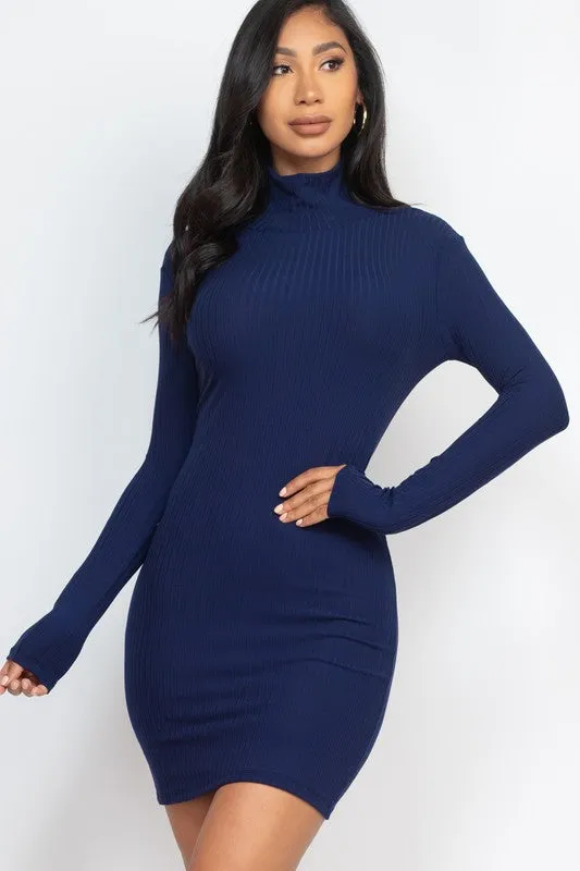 Curvy Ribbed Mock Neck Bodycon Mini Dress