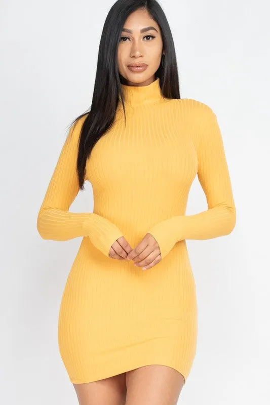 Curvy Ribbed Mock Neck Bodycon Mini Dress
