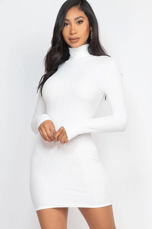 Curvy Ribbed Mock Neck Bodycon Mini Dress