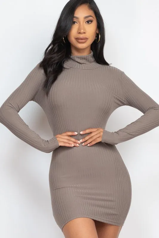 Curvy Ribbed Mock Neck Bodycon Mini Dress
