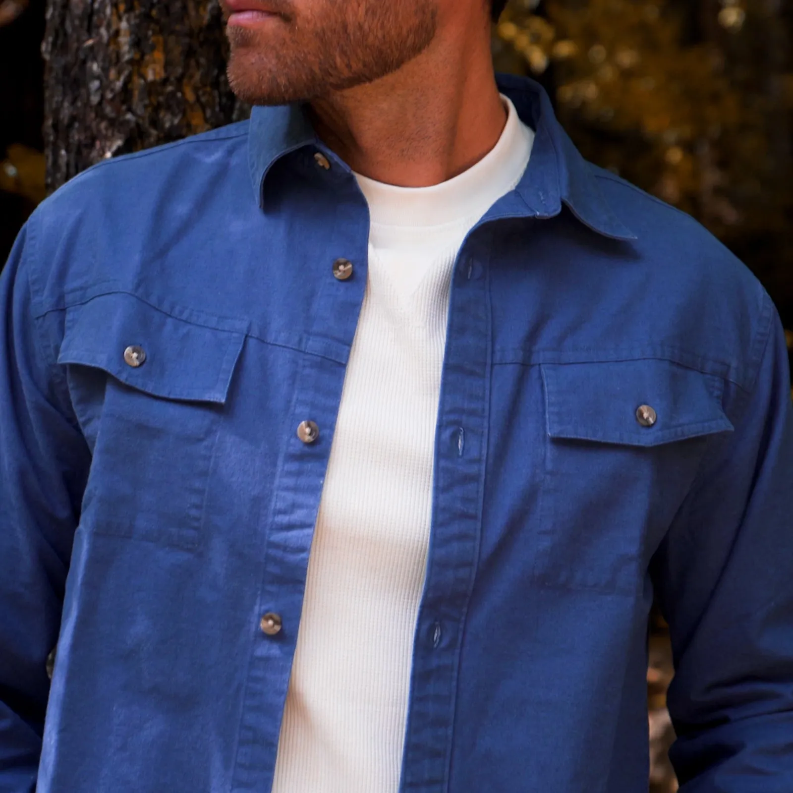Hamilton Chamois Shirt