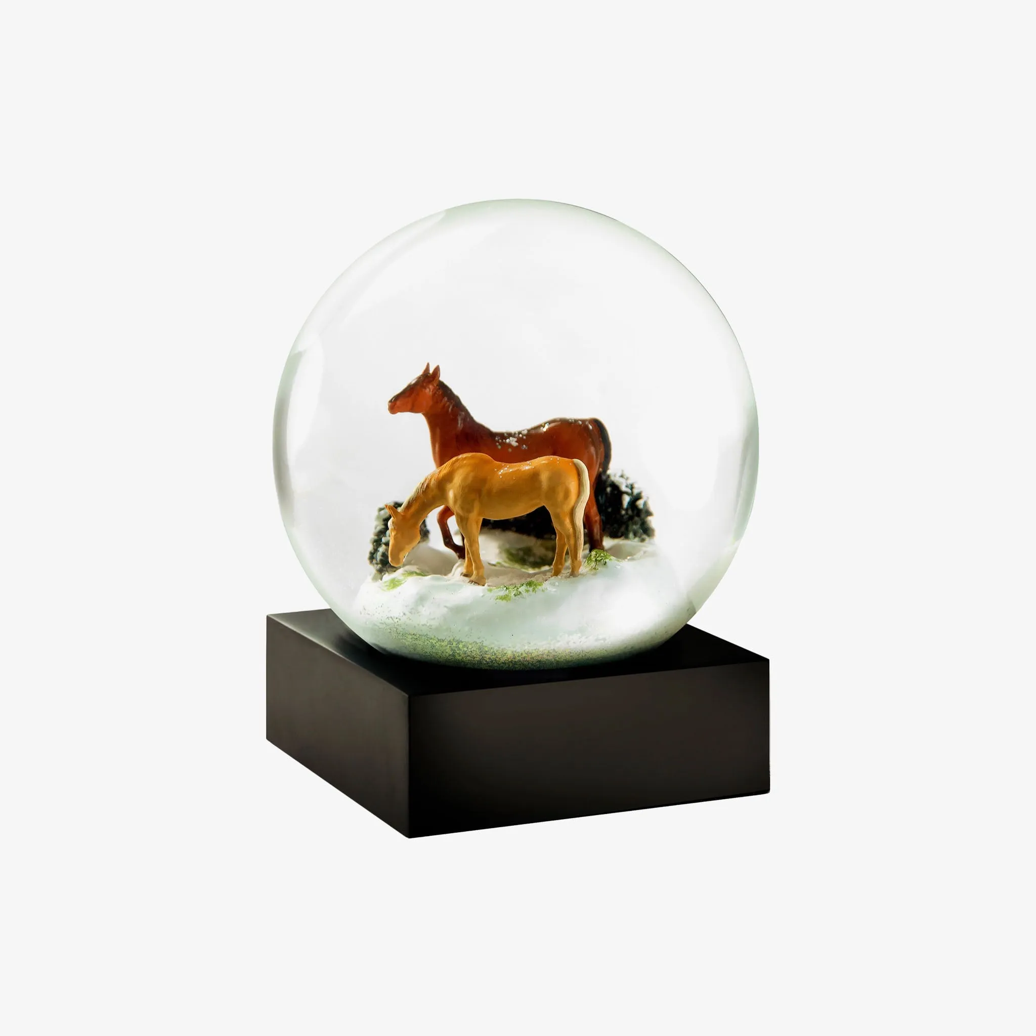 Horses Snow Globe