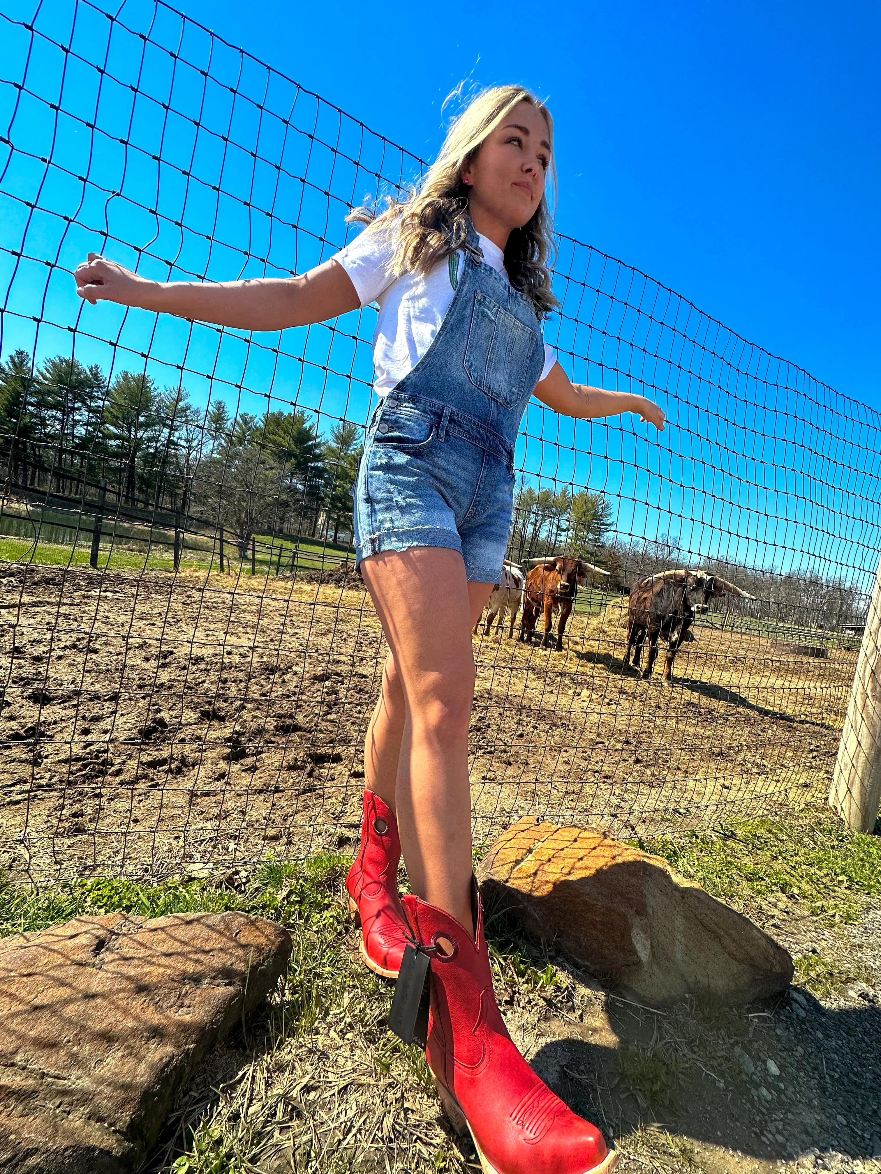 Remedy Mid Rise Overall Shorts
