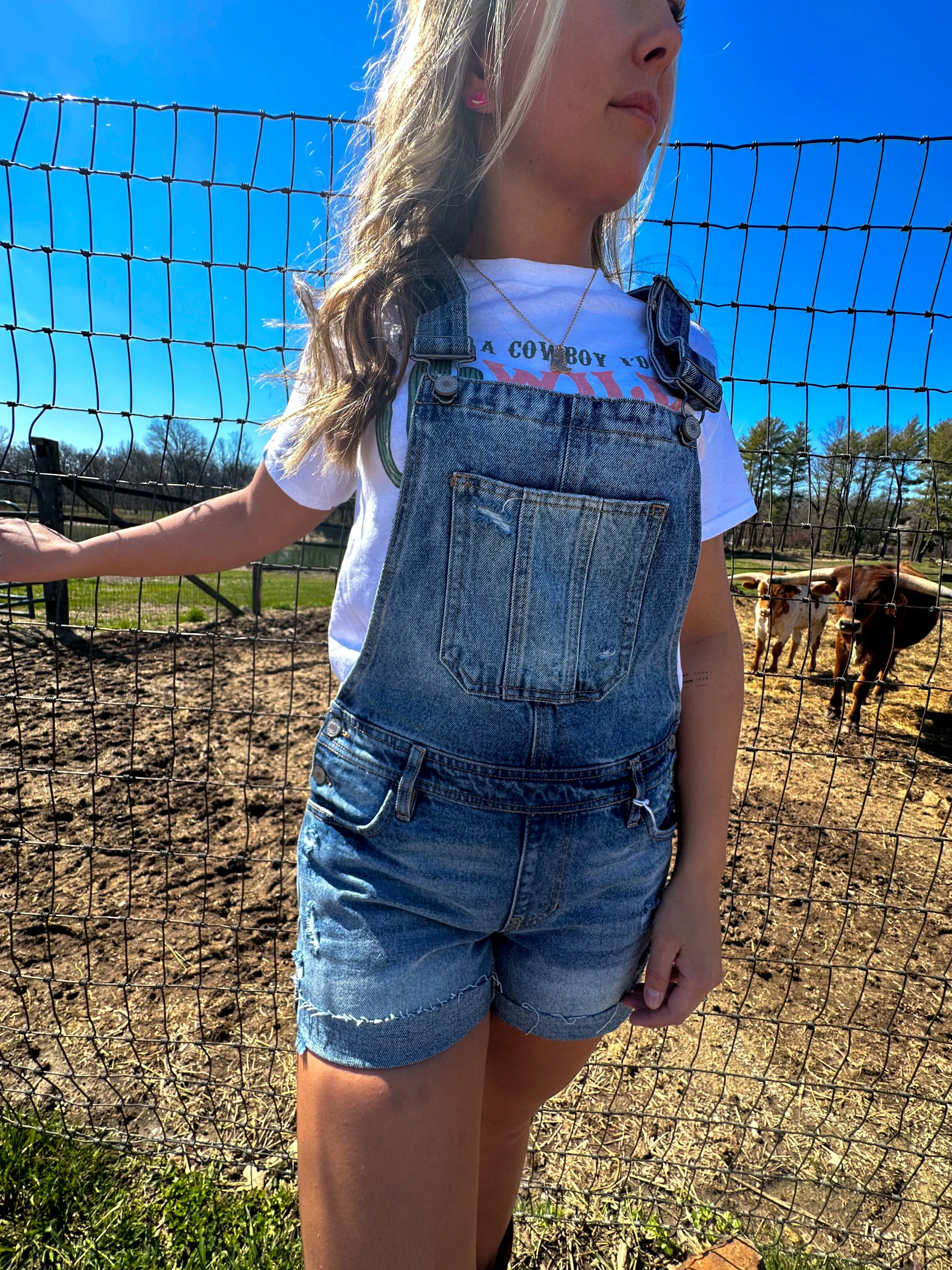 Remedy Mid Rise Overall Shorts